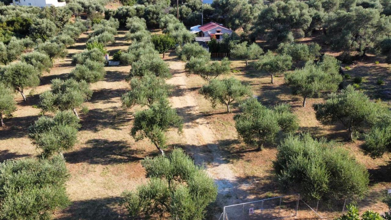 Olea Cottage Galatas  Екстер'єр фото